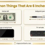 common-thing-that-are-6-inches-long