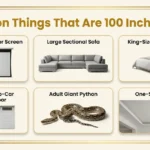 common-things-100-inches-long