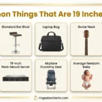 How Big is 19 Inches? 9 Everyday Objects for Comparison common-things-19-inches-long