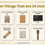 common-things-24-inches-long