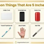 common-things-5-inches-long