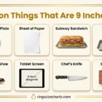 common-things-9-inches-long