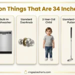 How Big is 34 Inches? 6 Everyday Objects for Comparison common-things-that-are-34-inches-long
