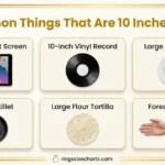 How Long Is 10 Inches? 6 Real-Life Examples to Help You Visualize things-that-are-10-inches-long