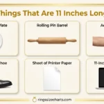 things-that-are-11-inches-long