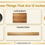 things-that-are-12-inches-long