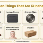 How Long Is 13 Inches? 8 Real-Life Examples to Help You Visualize things-that-are-13-inches-long