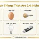 How Long Is 2.4 Inches? 8 Real-Life Examples to Help You Visualize things-that-are-2.4-inches-long