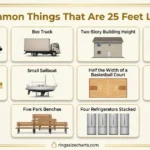 things-that-are-25-feet-long