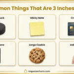 things-that-are-3-inches-long
