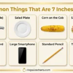 How Long Is 7 Inches? See What It Looks Like things-that-are-7-inches-long