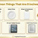 things-that-are-8-inches-long