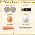 thing-that-are-5-cm-long
