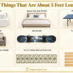 thing-that-are-5-feet-long