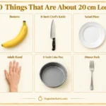 thing-that-are-20-cm-long