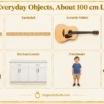 things-that-are-100-cm-long