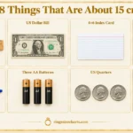 things-that-are-15-cm-long