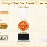 things-that-are-30-cm-long