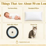 things-that-are-50-cm-long