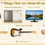 things-that-are-60-cm-long