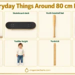 things-that-are-80-cm-long